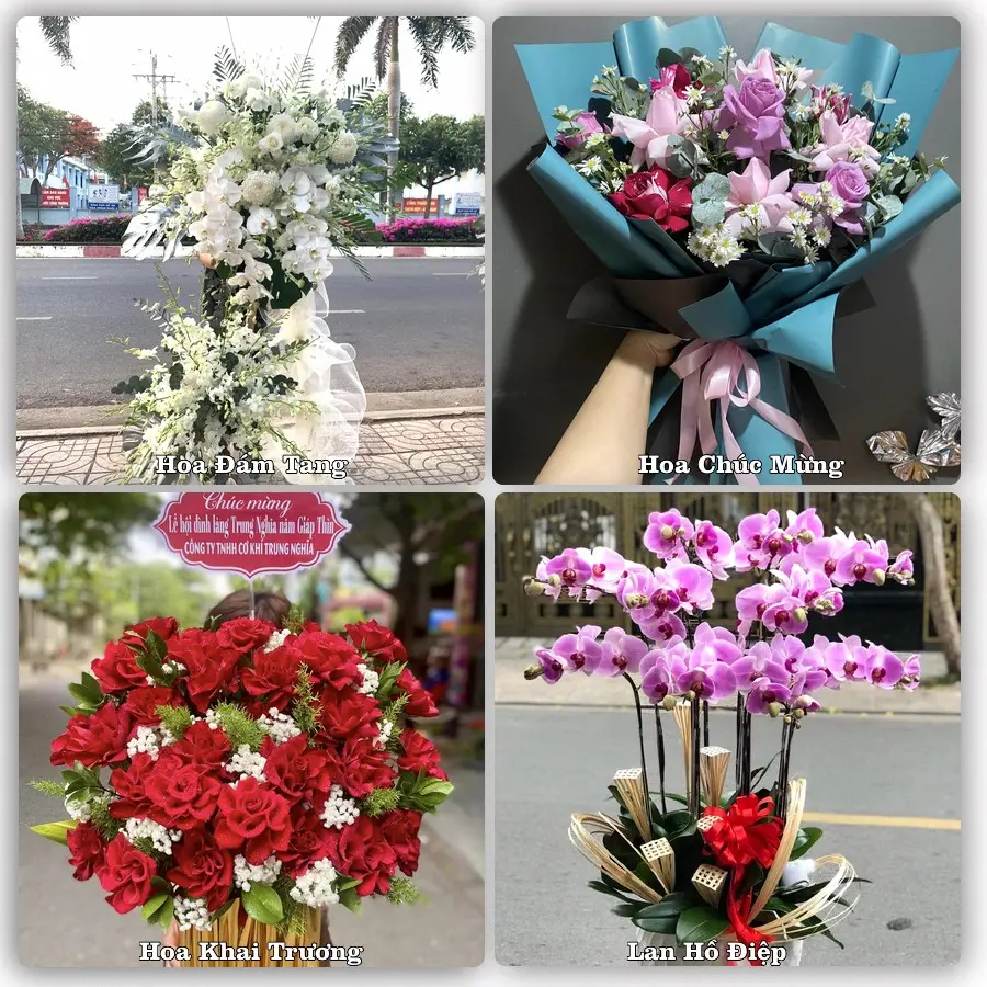 Tư vấn chọn hoa theo từng dịp tại Trường Sơn, An Lão