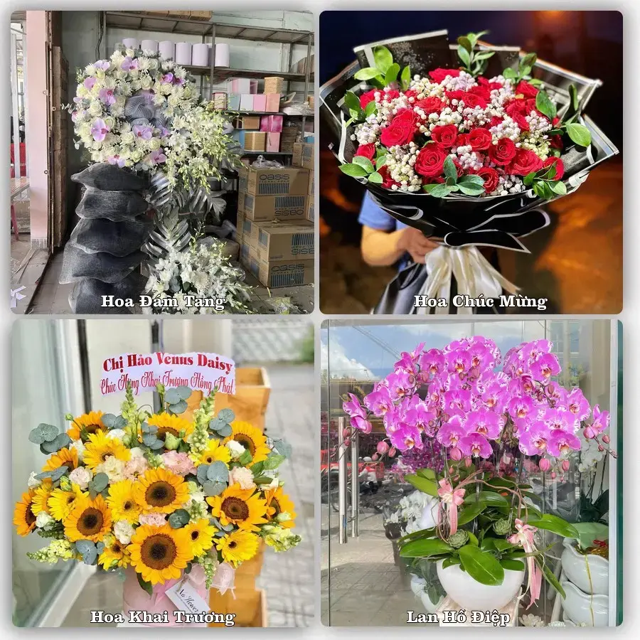Shop hoa tươi Tứ Kỳ – Giao tận nơi trong 2 giờ