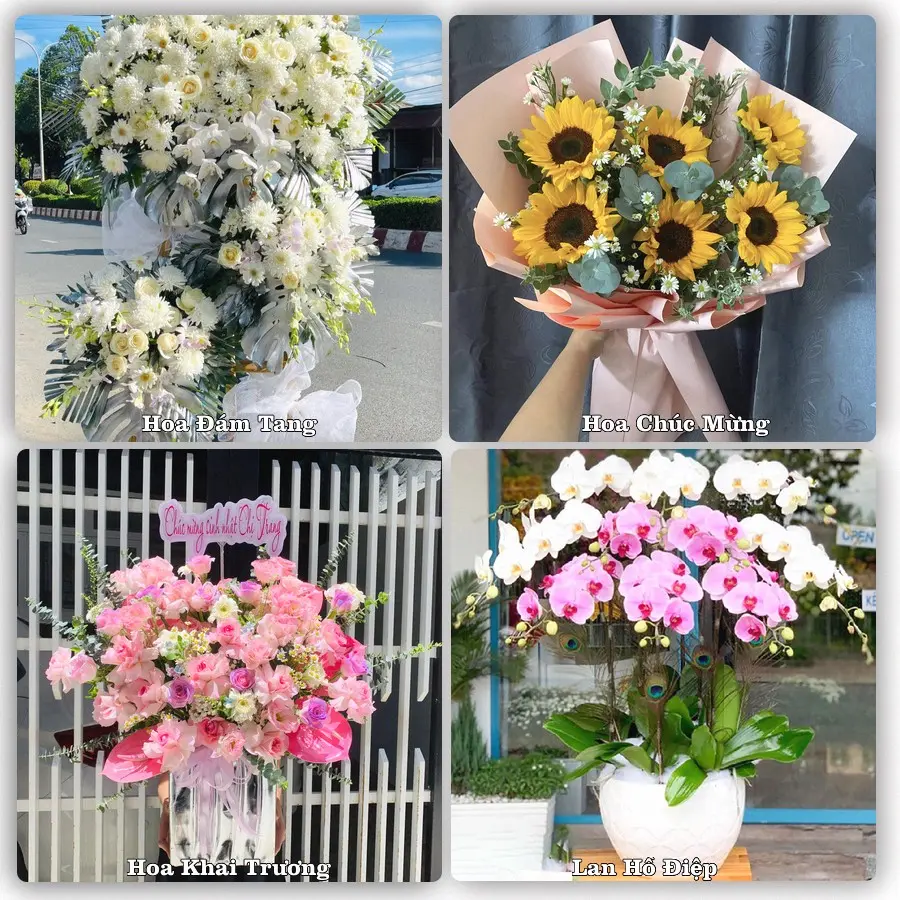 Tư vấn chọn hoa theo từng dịp tại Tứ Kỳ
