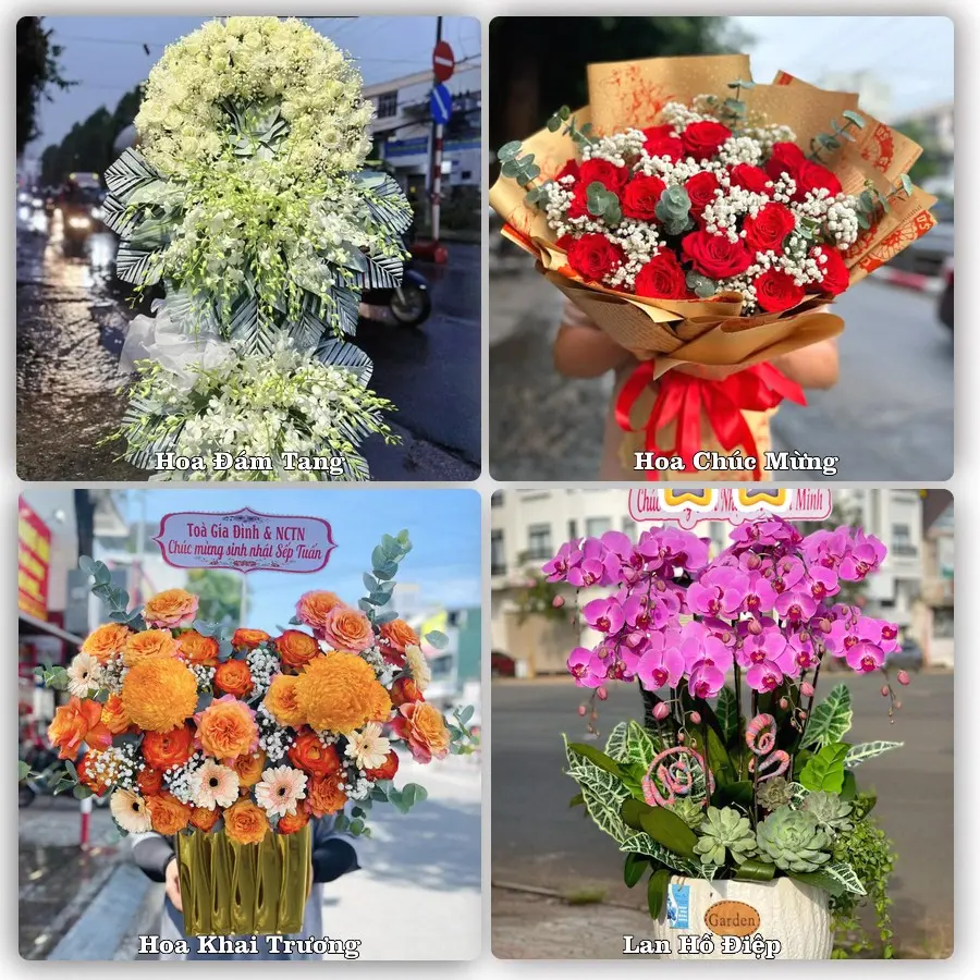 Tư vấn chọn hoa theo từng dịp tại Bạc Liêu