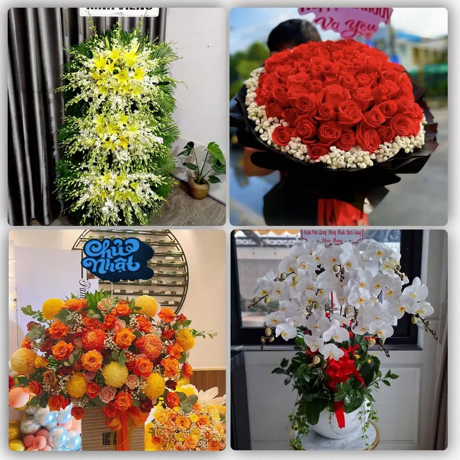 Tư vấn lựa chọn hoa theo người nhận và từng dịp tại Bình Tân, TP.HCM