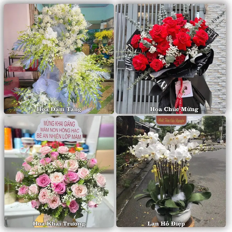 Tư vấn chọn hoa theo từng dịp tại Cà Mau