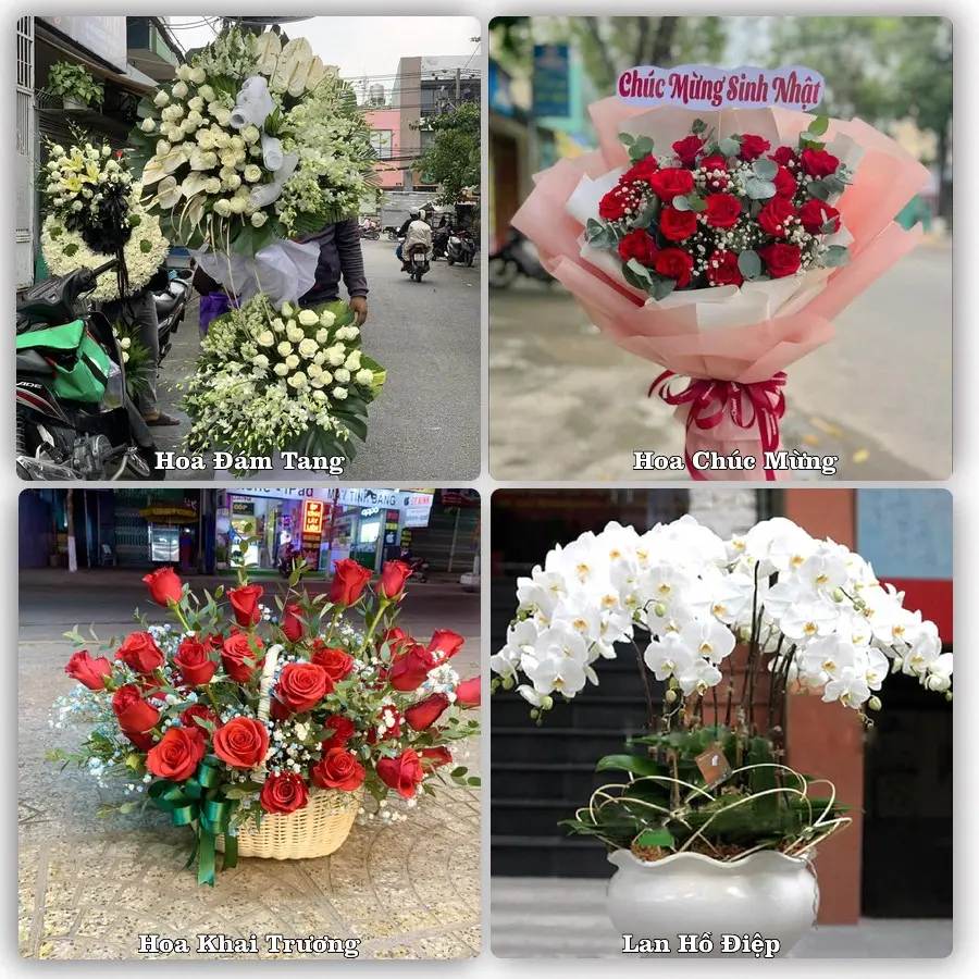 Tư vấn chọn hoa theo từng dịp tại Châu Đốc, An Giang