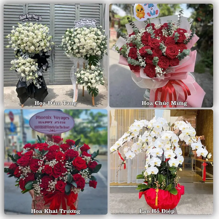 Tư vấn chọn hoa theo từng dịp tại Hà Tiên, Kiên Giang