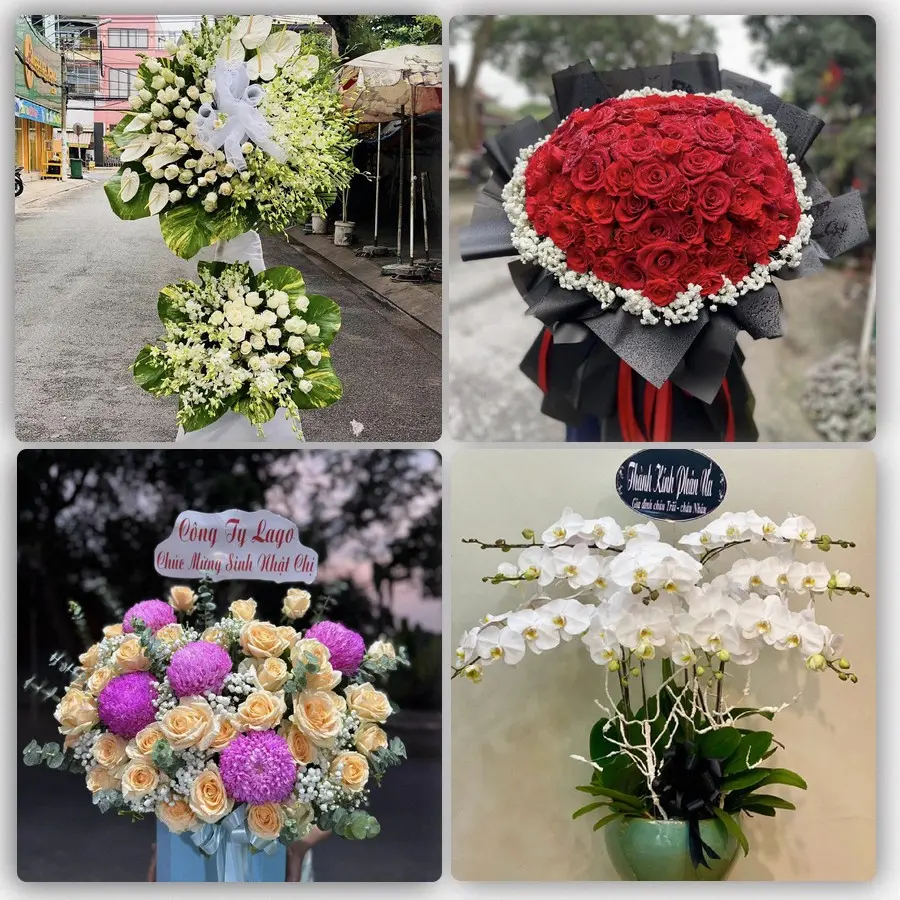 Tư vấn lựa chọn hoa theo người nhận và từng dịp tại Quận 8, TP.HCM