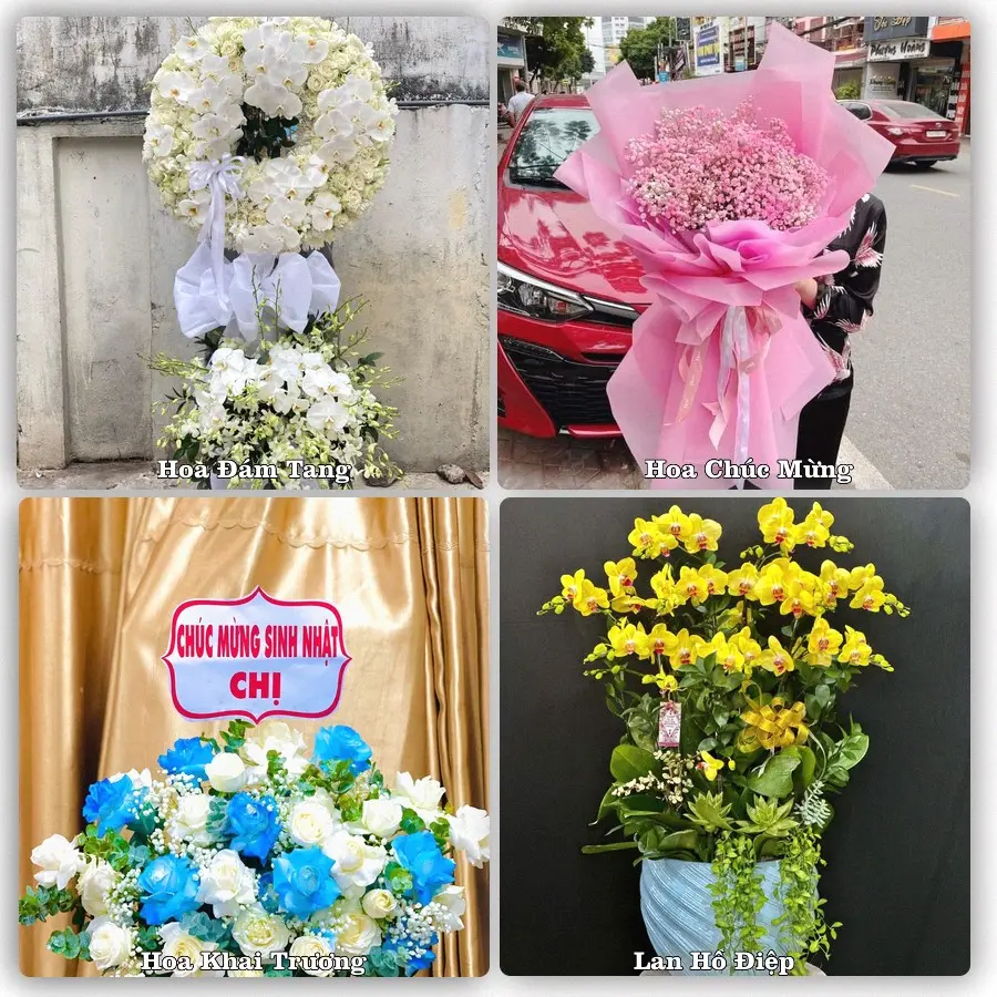 Tư vấn chọn hoa theo từng dịp tại Quận Đống Đa, Hà Nội