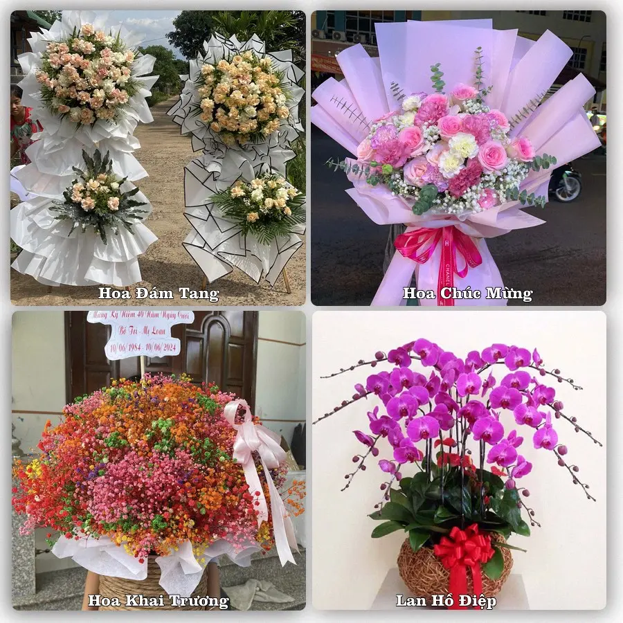 Tư vấn chọn hoa theo từng dịp tại Quận Dương Kinh, Hải Phòng