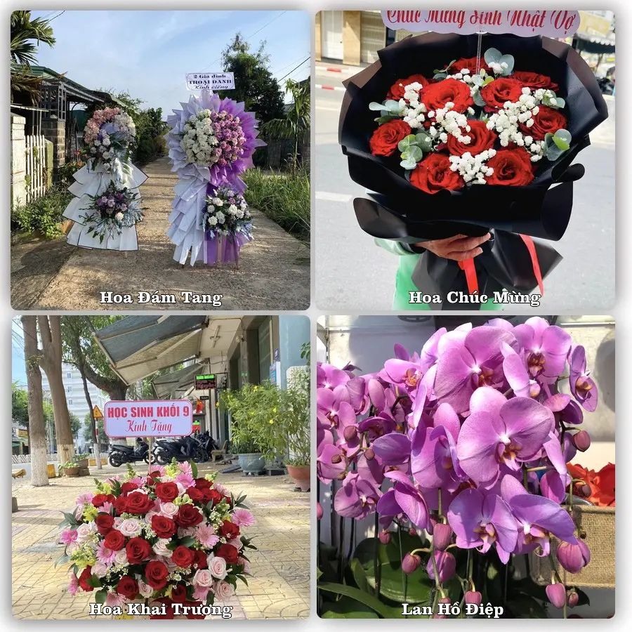 Tư vấn chọn hoa theo từng dịp tại Quận Hà Đông, Hà Nội