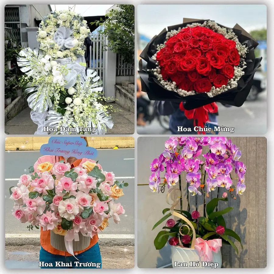 Tư vấn chọn hoa theo từng dịp tại Quận Hồng Bàng, Hải Phòng