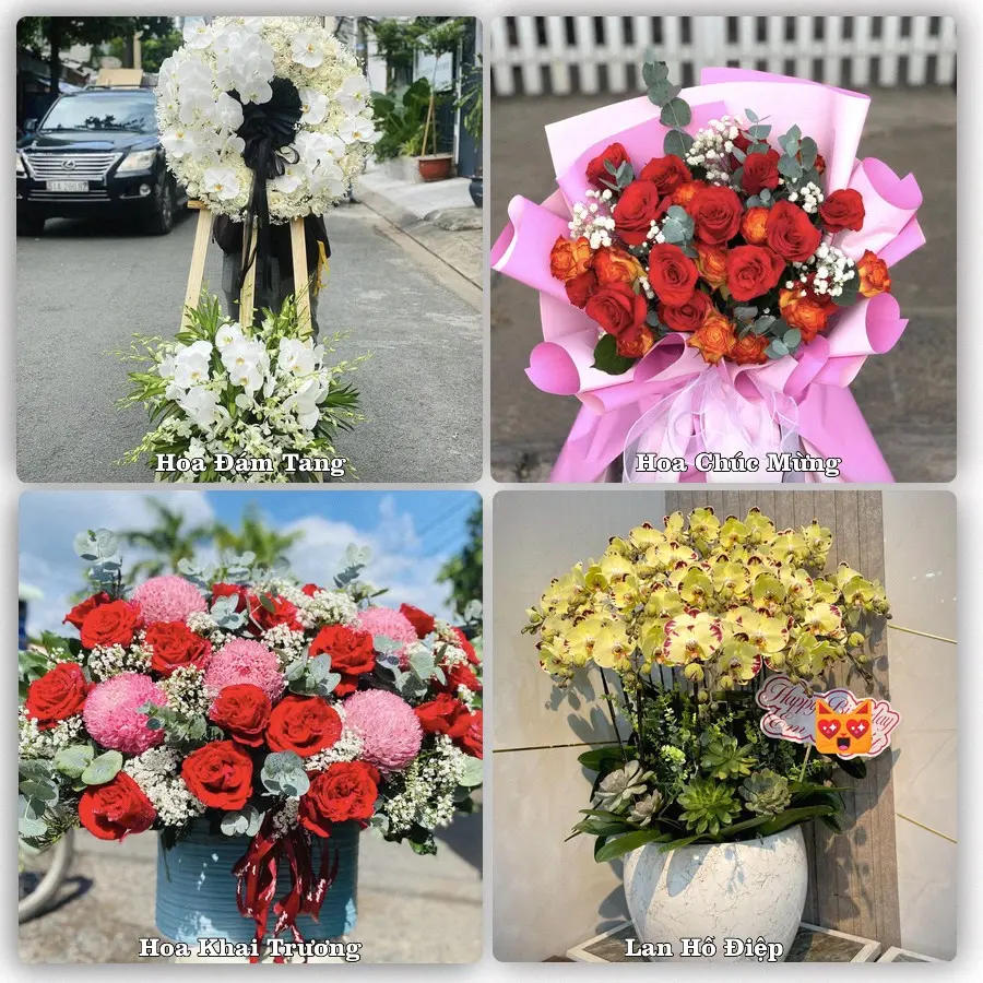 Tư vấn chọn hoa theo từng dịp tại Quận Ngũ Hành Sơn, Đà Nẵng