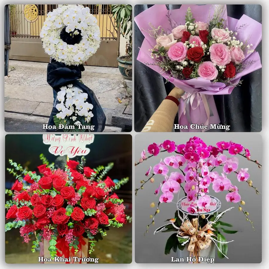 Tư vấn chọn hoa theo từng dịp tại Quận Tân Bình, TP.HCM