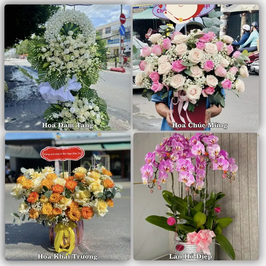 Tư vấn chọn hoa theo từng dịp tại Quận Tân Phú, TP.HCM