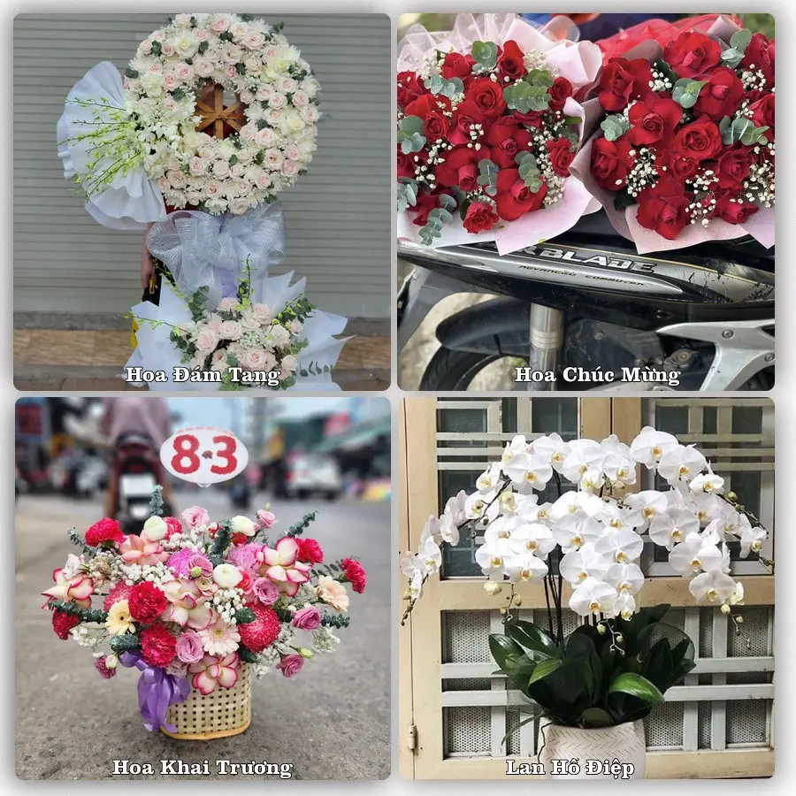 Tư vấn chọn hoa theo từng dịp tại Quận Tây Hồ, Hà Nội