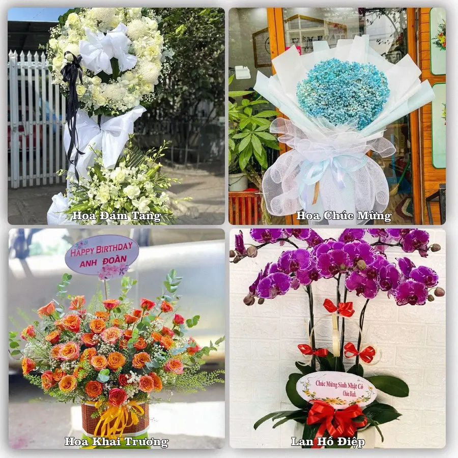 Tư vấn chọn hoa theo từng dịp tại Quận Thanh Khê, Đà Nẵng