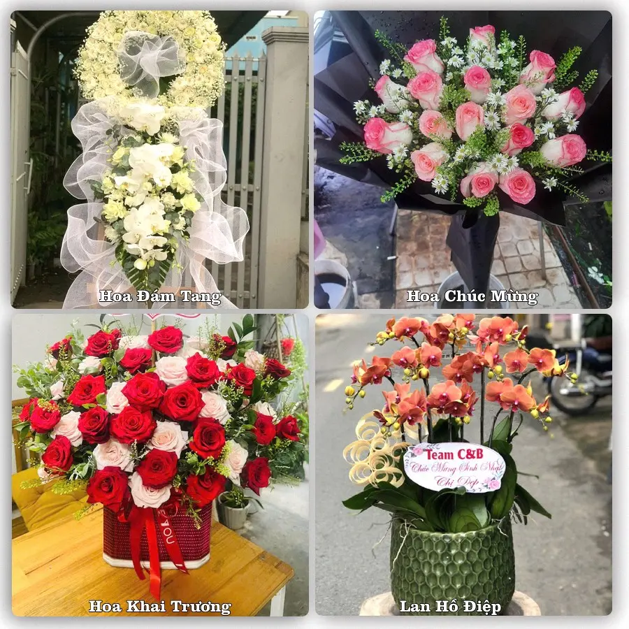 Tư vấn chọn hoa theo từng dịp tại Sa Đéc, Đồng Tháp
