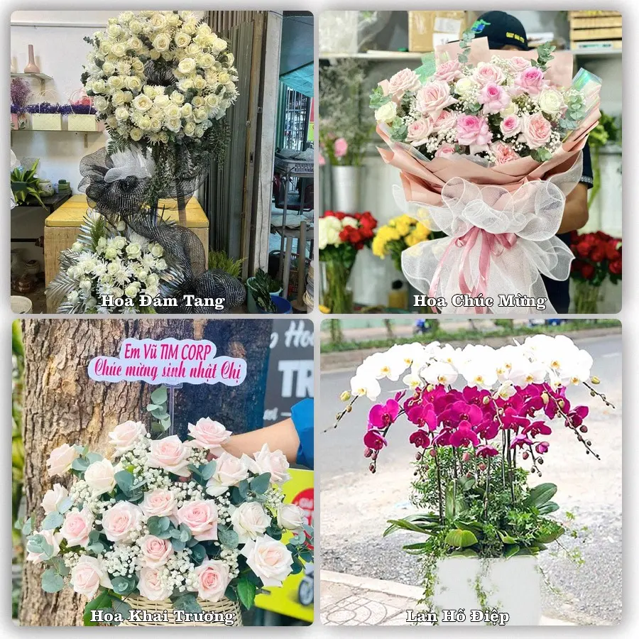 Mẫu hoa tươi dành cho khách đặt hoa tại Tủa Chùa