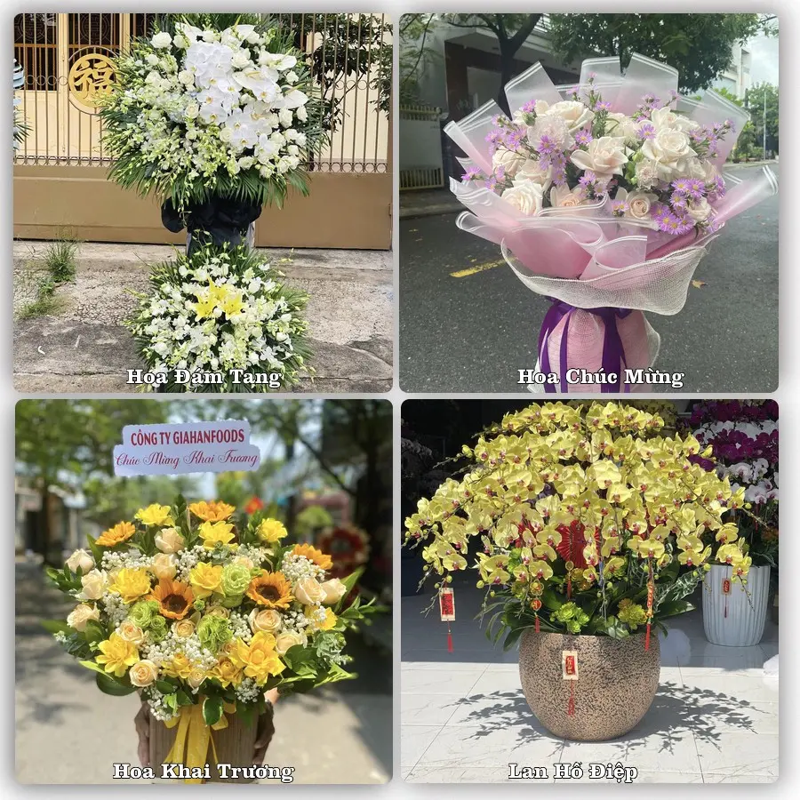 Tư vấn chọn hoa theo từng dịp tại Tủa Chùa