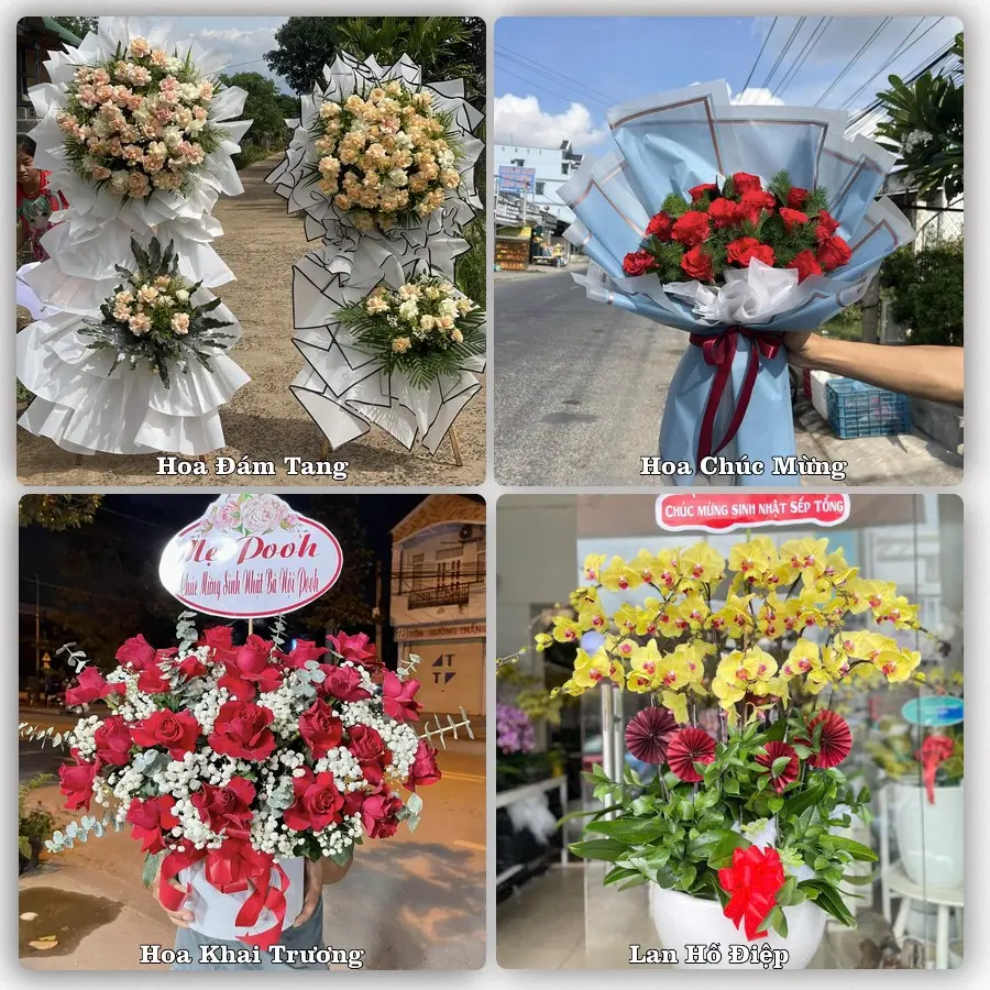 Tư vấn chọn hoa theo từng dịp tại Tuần Giáo