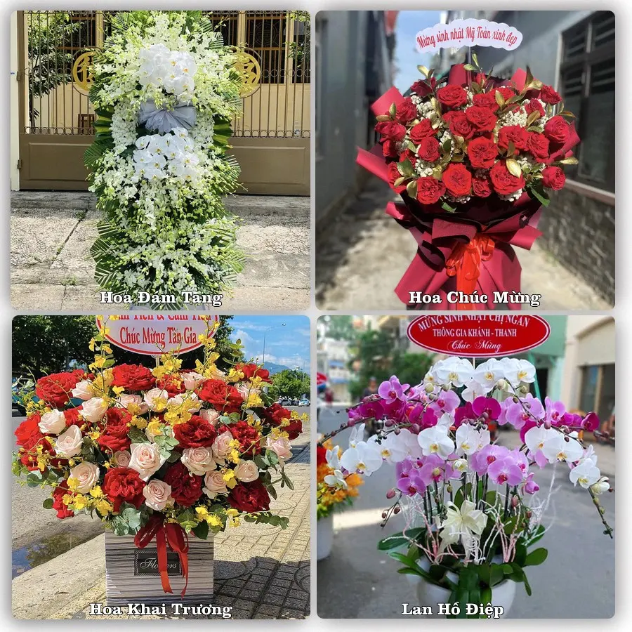 Mẫu hoa tươi dành cho khách đặt hoa tại Tuy Phước