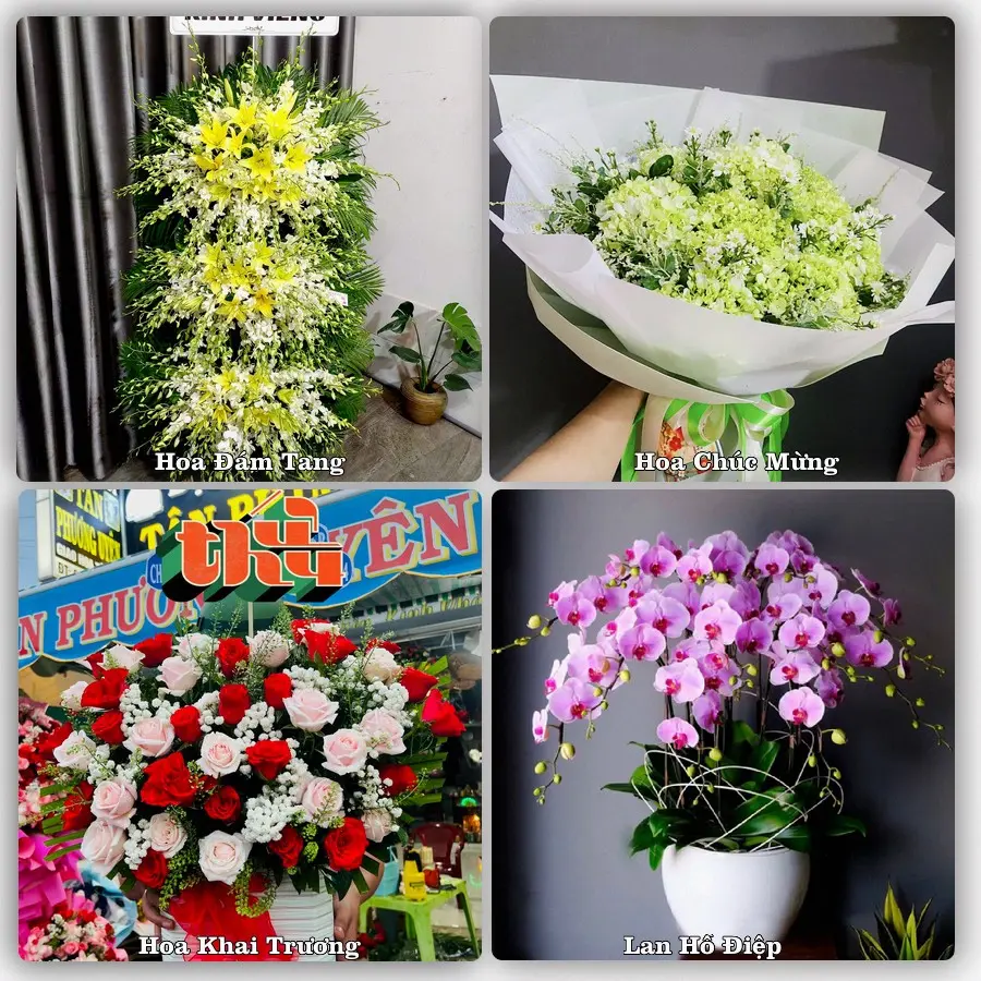 Tư vấn chọn hoa theo từng dịp tại Vân Đình, Ứng Hòa