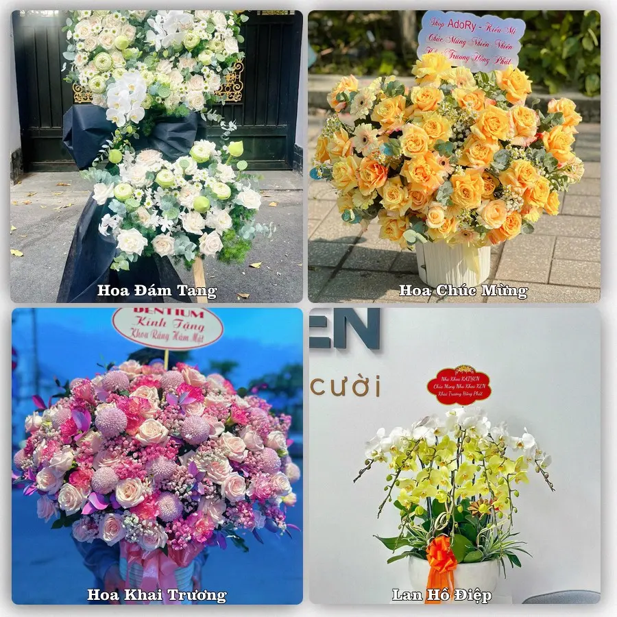 Mẫu hoa tươi dành cho khách đặt hoa tại Vân Du, Thạch Thành