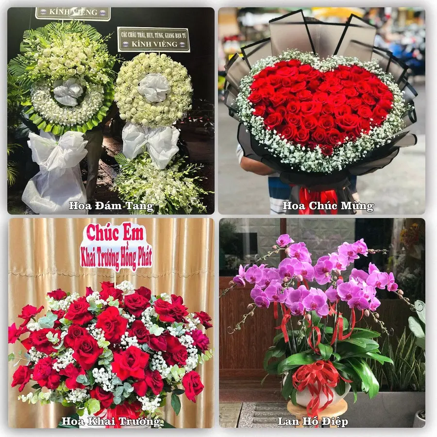 Mẫu hoa tươi dành cho khách đặt hoa tại Vạn Giã, Vạn Ninh