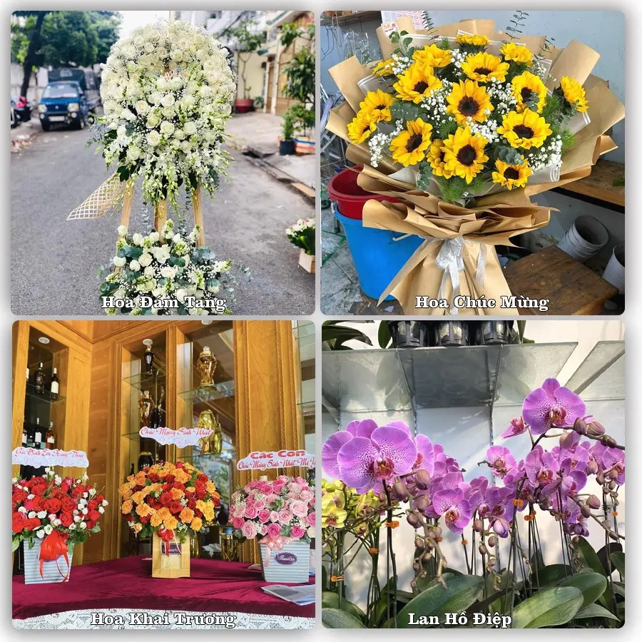 Mẫu hoa tươi dành cho khách đặt hoa tại Văn Quan