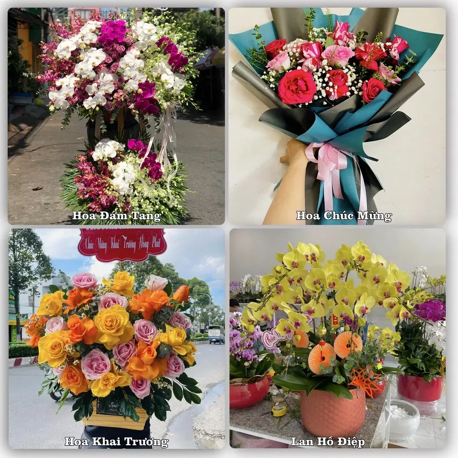 Mẫu hoa tươi dành cho khách đặt hoa tại Vị Xuyên