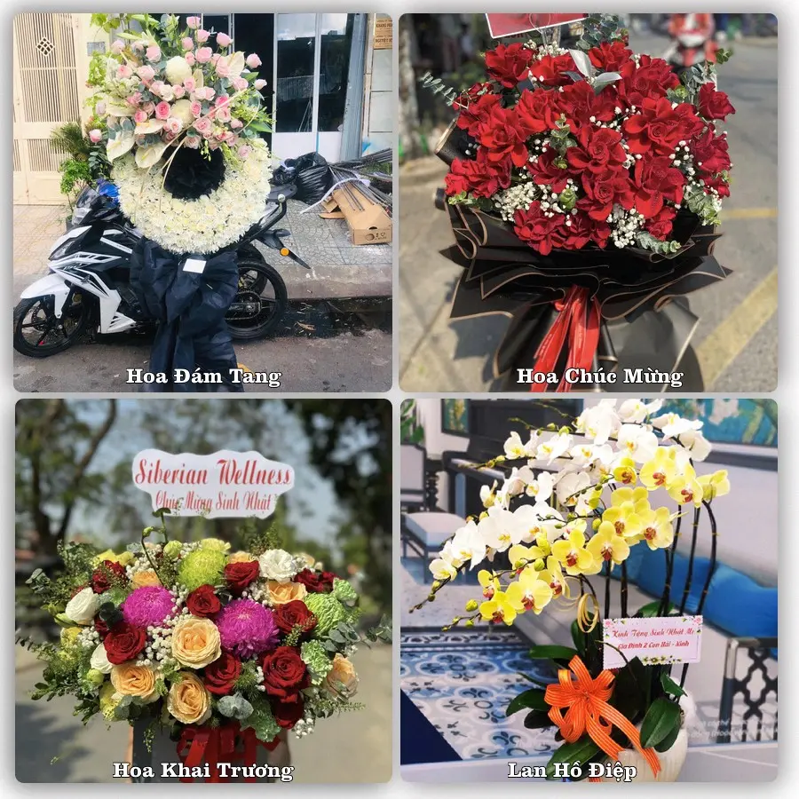 Tư vấn chọn hoa theo từng dịp tại Vị Xuyên