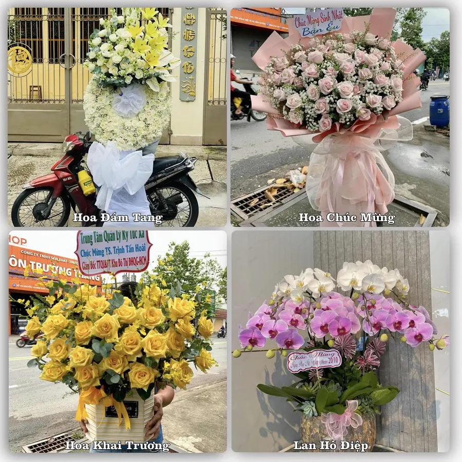 Mẫu hoa tươi dành cho khách đặt hoa tại Việt Quang, Bắc Quang