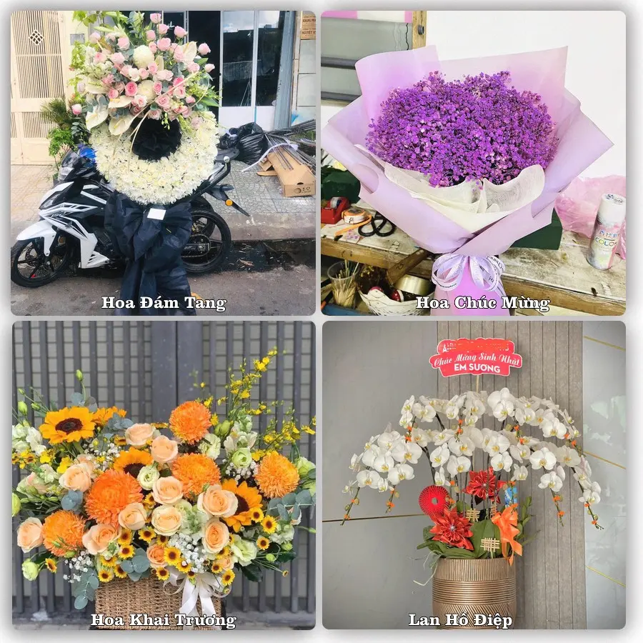 Tư vấn chọn hoa theo từng dịp tại Việt Quang, Bắc Quang