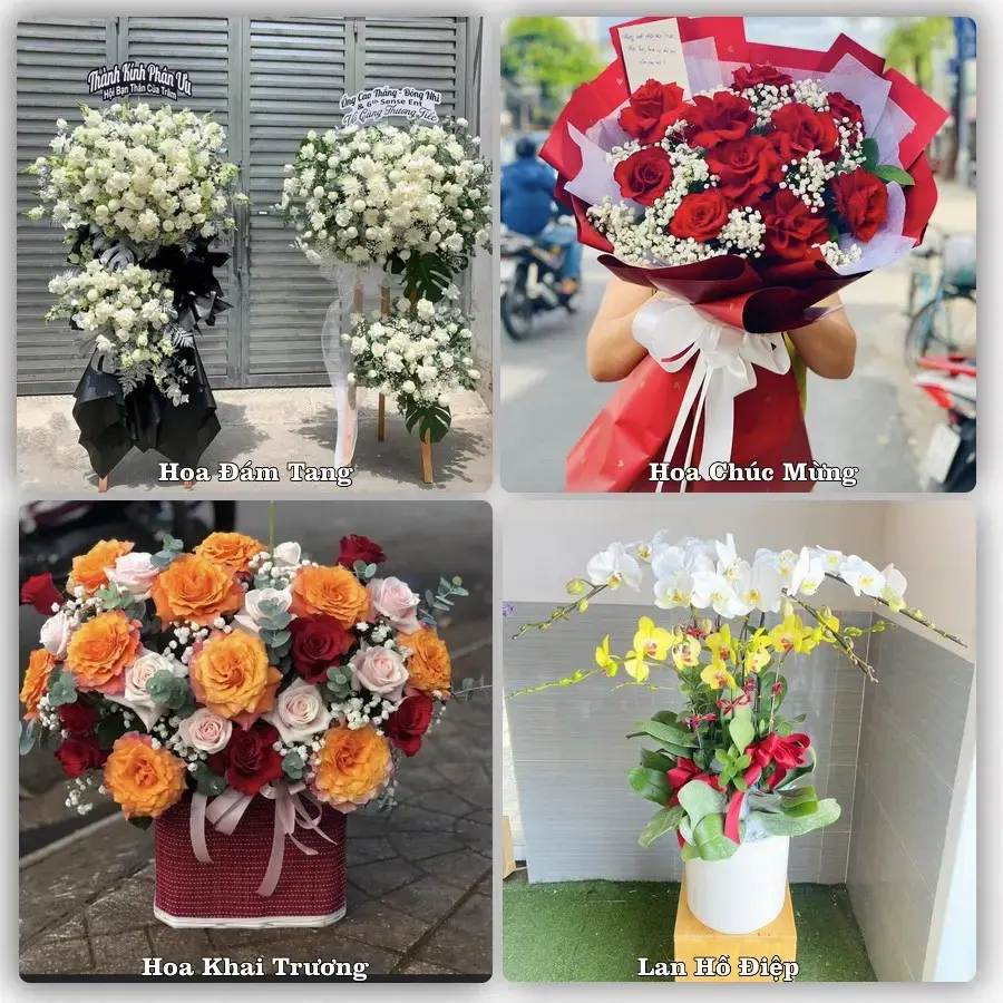 Shop hoa tươi Vĩnh Bảo – Đặt online, giao tận nơi