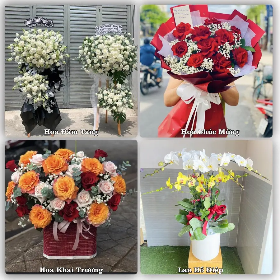 Mẫu hoa tươi dành cho khách đặt hoa tại Vĩnh Bảo
