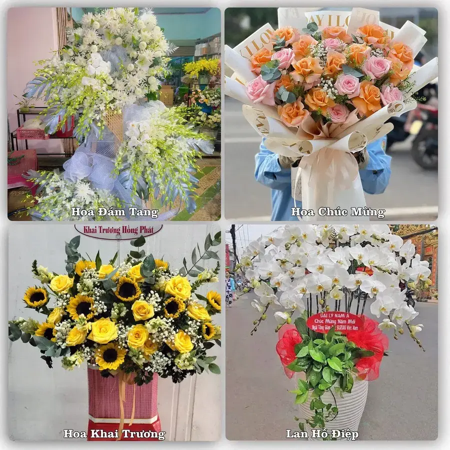 Tư vấn chọn hoa theo từng dịp tại Vĩnh Bảo