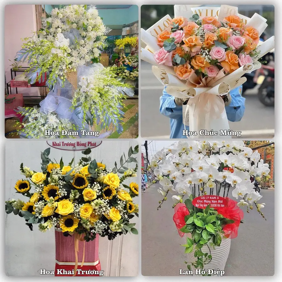 Tư vấn chọn hoa theo từng dịp tại Vĩnh Bảo