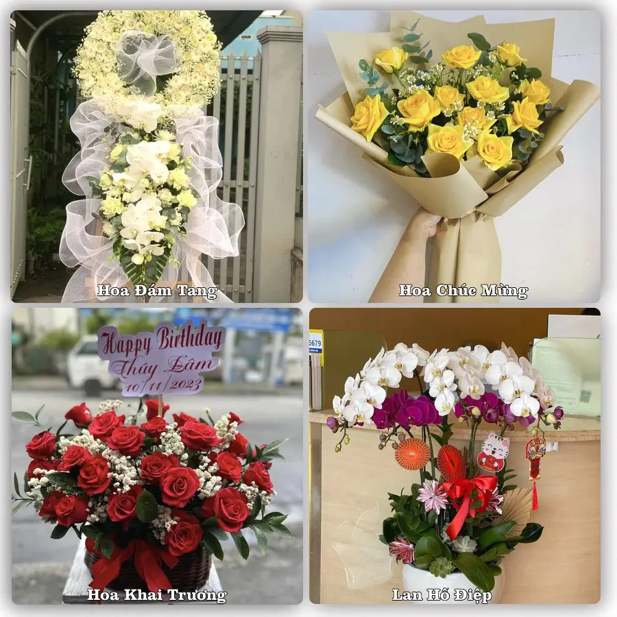 Dịch vụ đặt hoa online giao tận nơi tại Vĩnh Bảo
