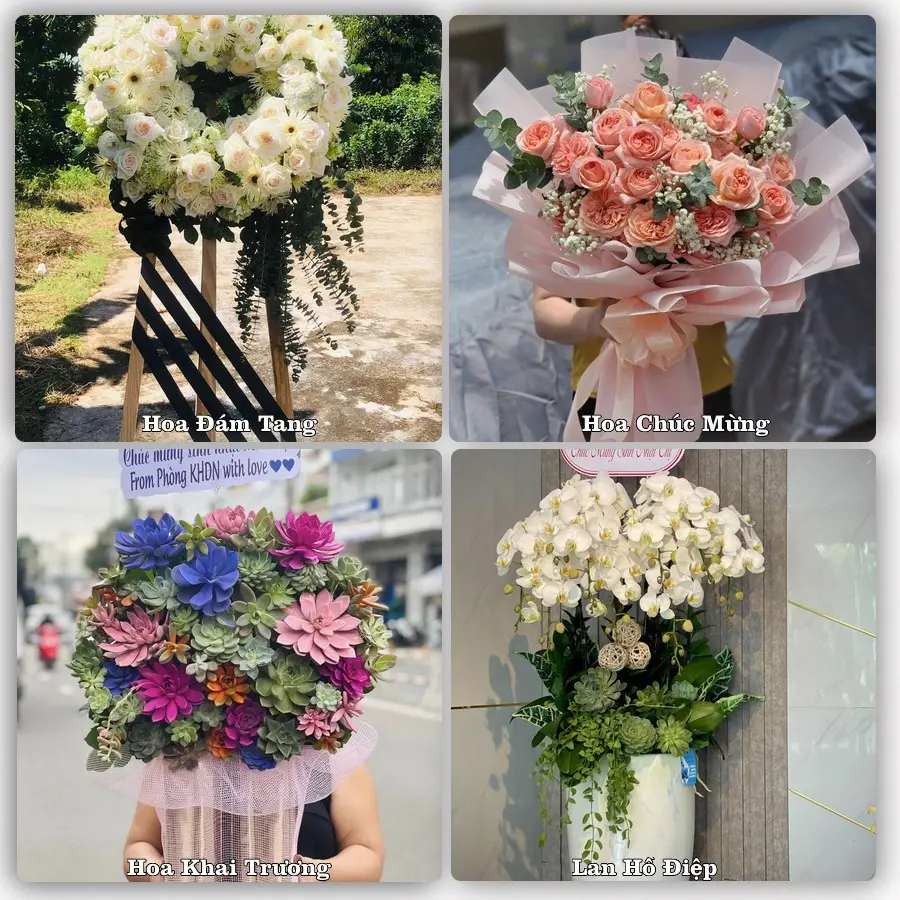 Mẫu hoa tươi dành cho khách đặt hoa tại Vĩnh Lộc, Chiêm Hóa