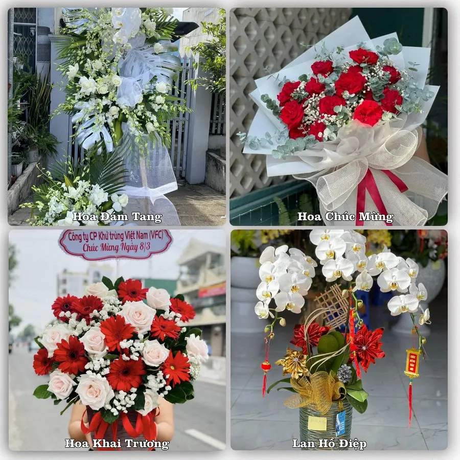 Tư vấn chọn hoa theo từng dịp tại Vĩnh Lộc, Chiêm Hóa
