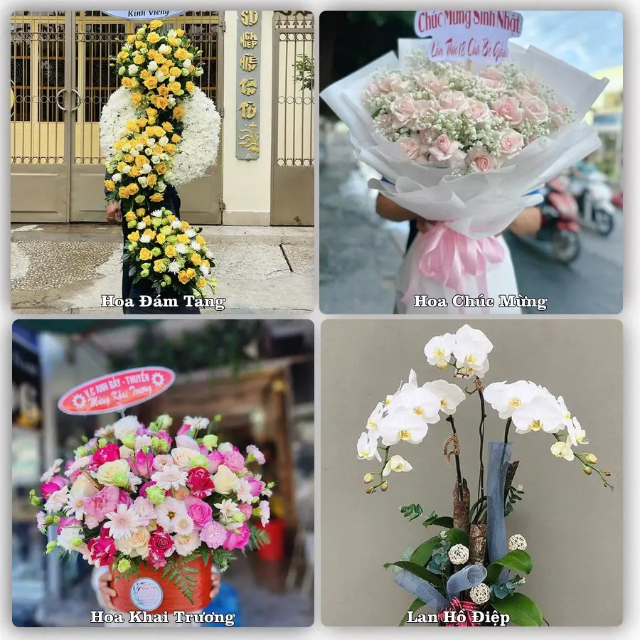 Tư vấn chọn hoa theo từng dịp tại Vinh Quang, Hoàng Su Phì