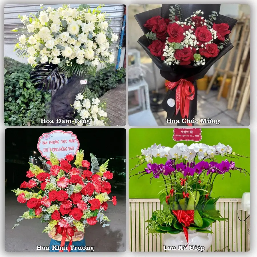 Mẫu hoa tươi dành cho khách đặt hoa tại Vĩnh Tường