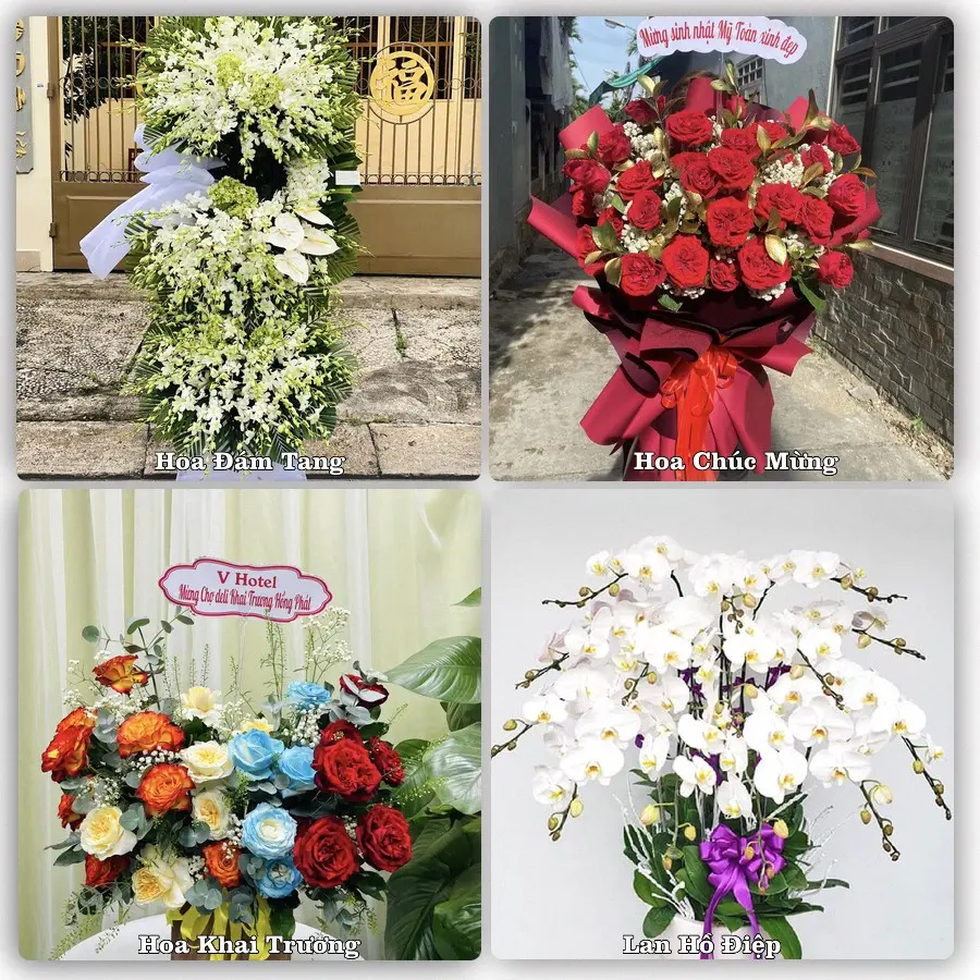 Tư vấn chọn hoa theo từng dịp tại Vĩnh Tuy, Bắc Quang