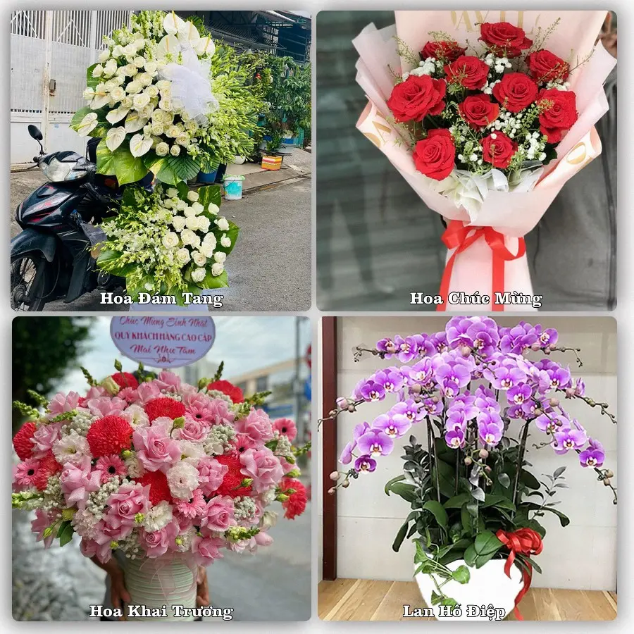 Dịch vụ đặt hoa online giao tận nơi tại Vĩnh Tuy, Bắc Quang