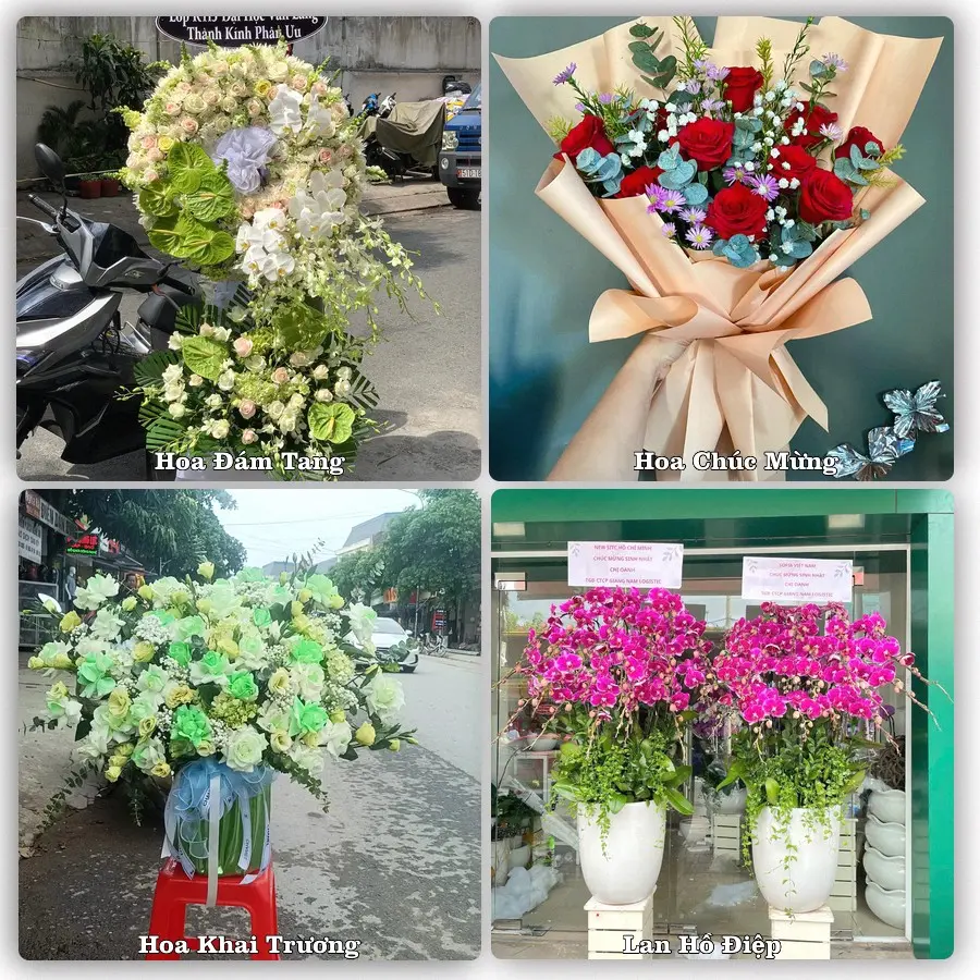 Tư vấn chọn hoa theo từng dịp tại Võ Xu, Đức Linh