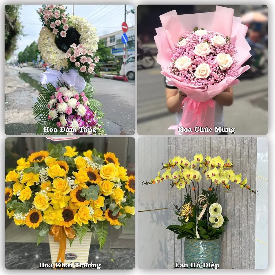 Mẫu hoa tươi dành cho khách đặt hoa tại Vũ Thư