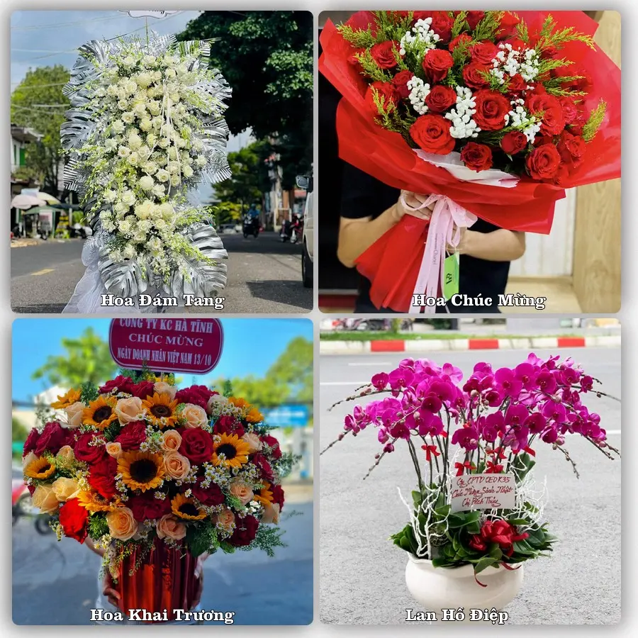 Tư vấn chọn hoa theo từng dịp tại Vương, Tiên Lữ