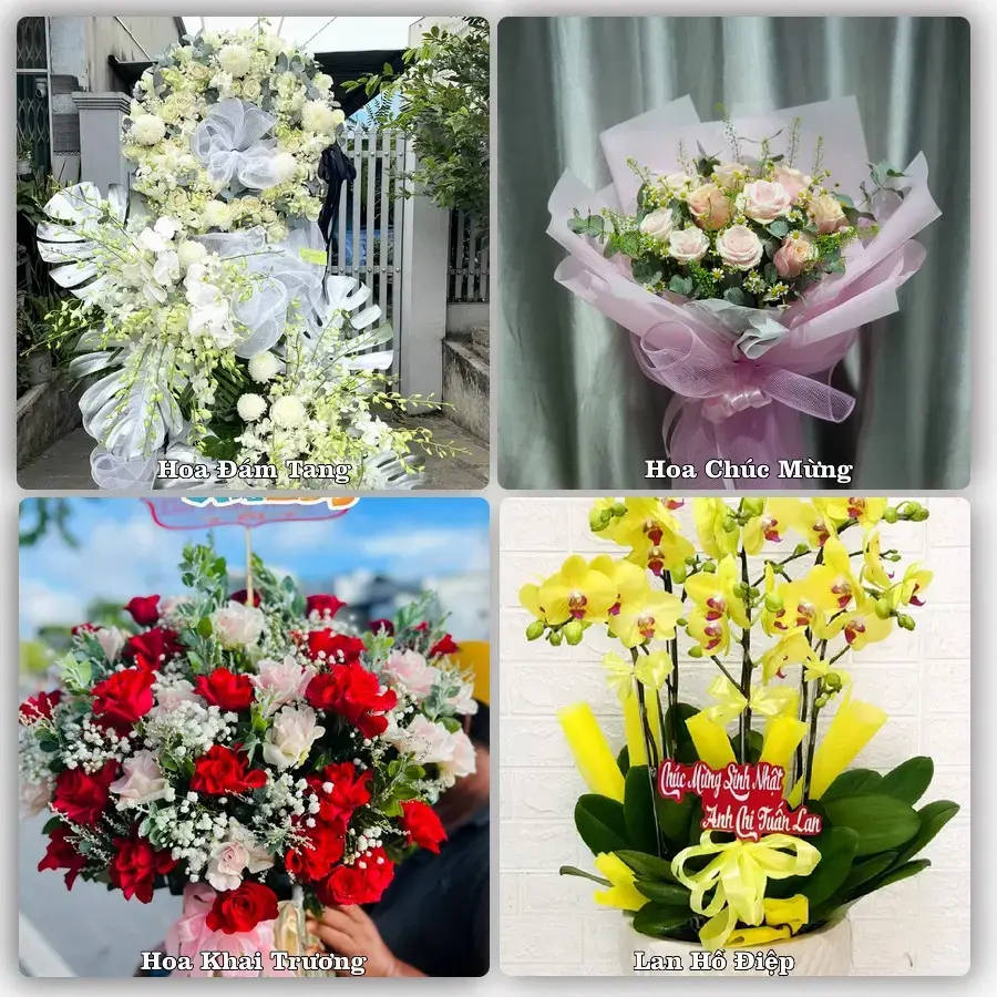 Tư vấn chọn hoa theo từng dịp tại Xuân Hòa, Hà Quảng