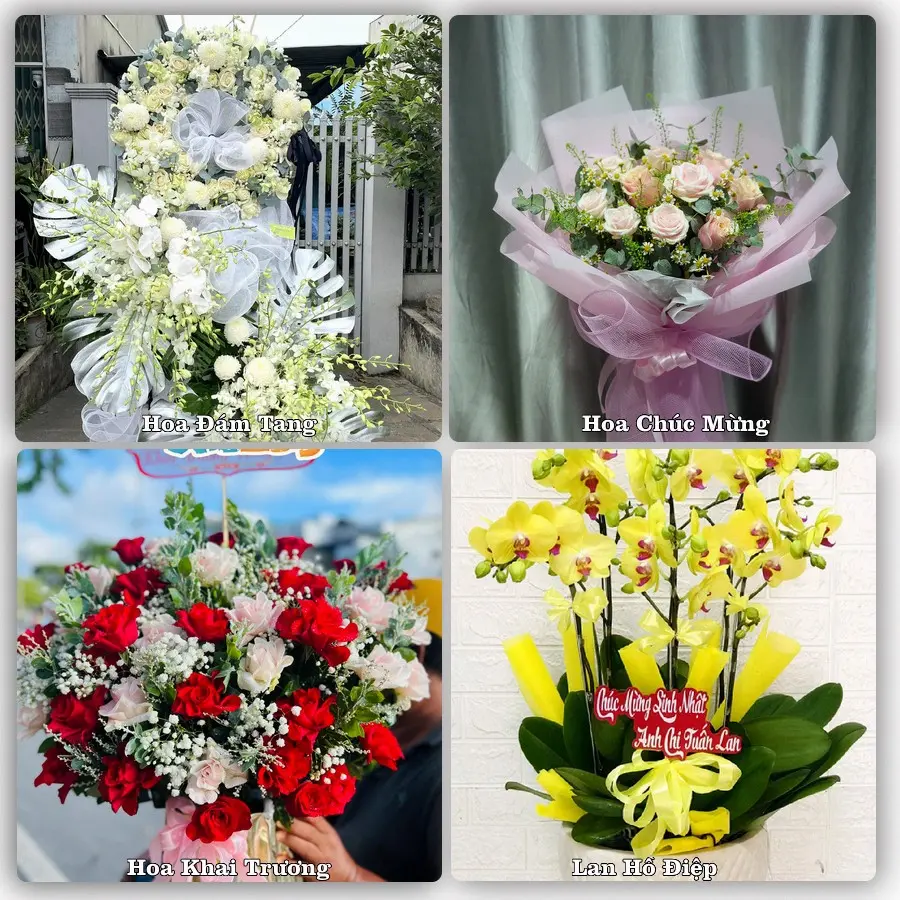 Tư vấn chọn hoa theo từng dịp tại Xuân Hòa, Hà Quảng