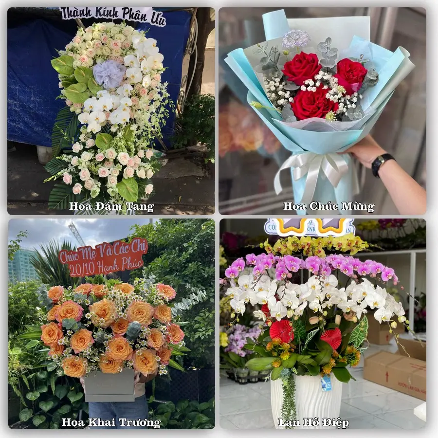 Tư vấn chọn hoa theo từng dịp tại Yên Lạc
