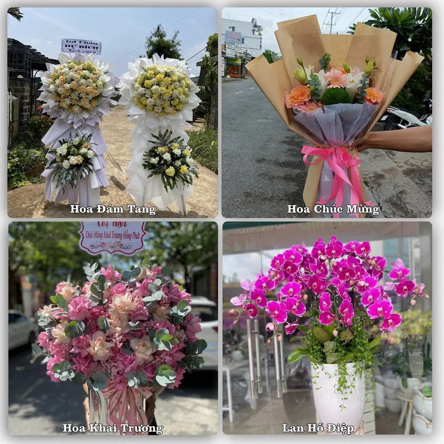 Tư vấn chọn hoa theo từng dịp tại Yên Thịnh, Yên Mô
