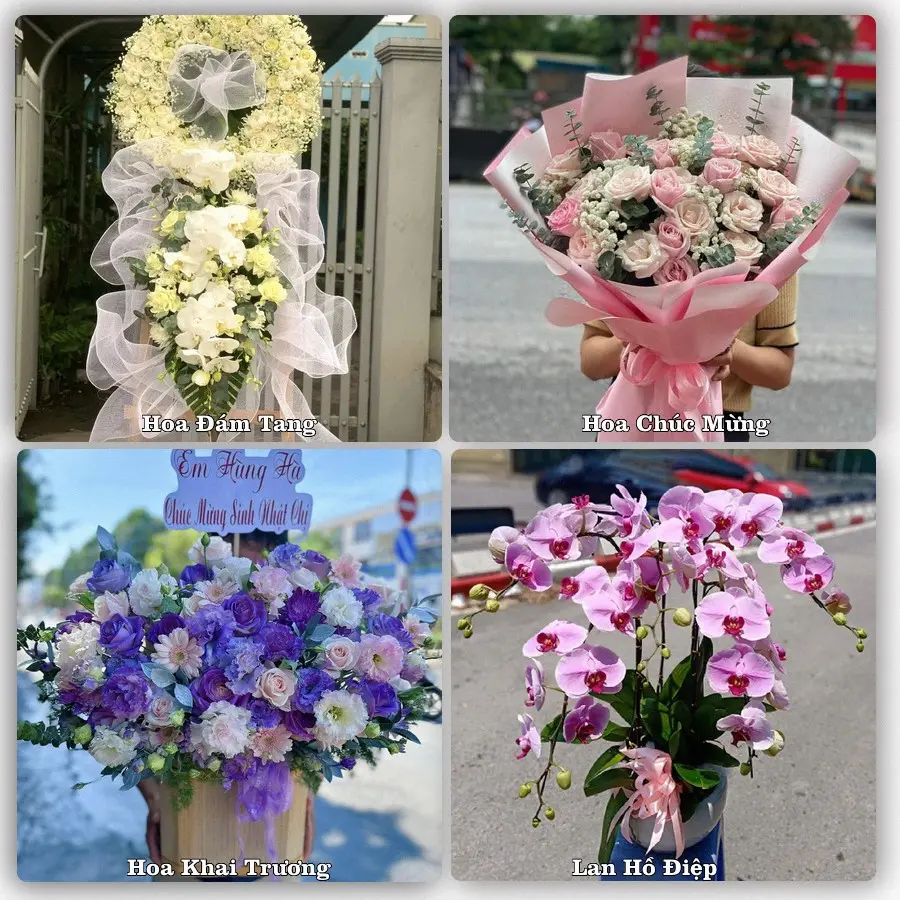 Mẫu hoa tươi dành cho khách đặt hoa tại Yên Viên, Gia Lâm